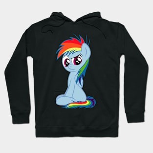 Rainbow Dash Filly Hoodie